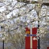 Solvang Named One of the Best Historic Small Towns in the USA!