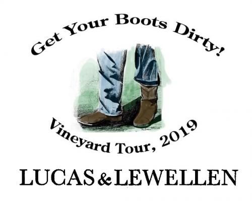 Vineyard-tour